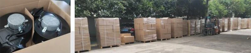 product-800-170 Product packaging