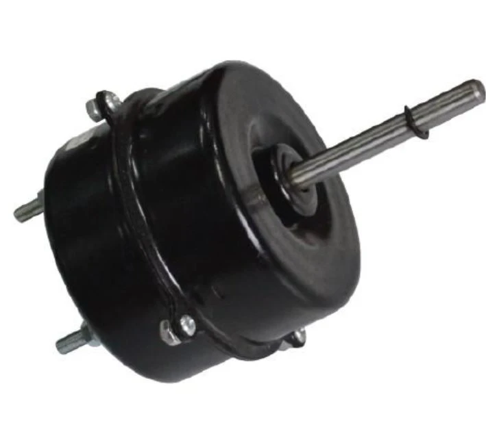 Brushless DC electric motor